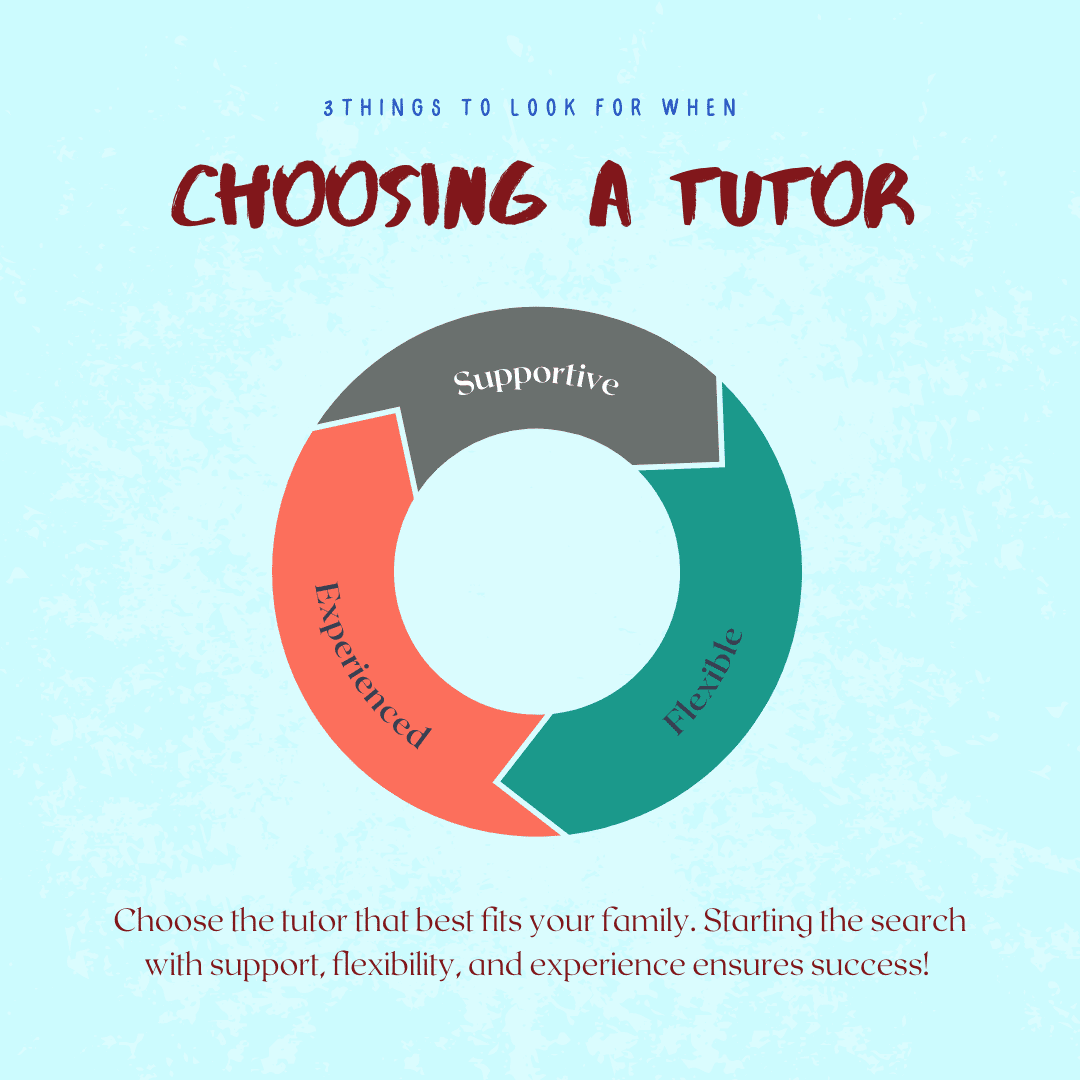 3 Things To Look For In a Private Tutor